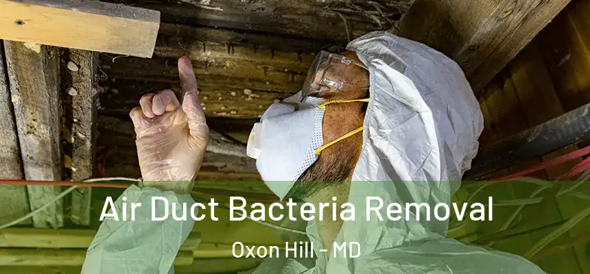  Air Duct Bacteria Removal Oxon Hill - MD