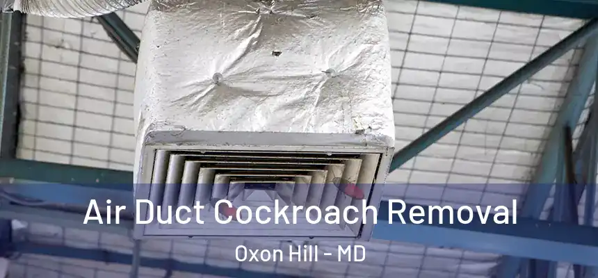  Air Duct Cockroach Removal Oxon Hill - MD
