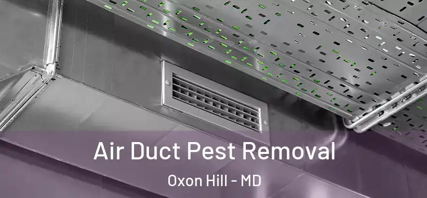  Air Duct Pest Removal Oxon Hill - MD