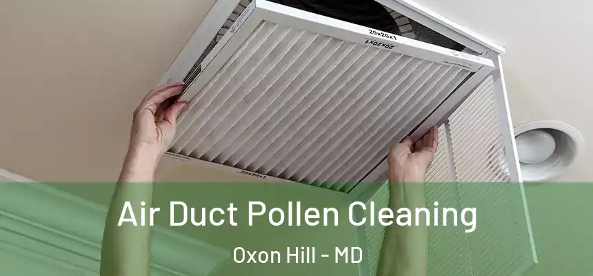  Air Duct Pollen Cleaning Oxon Hill - MD