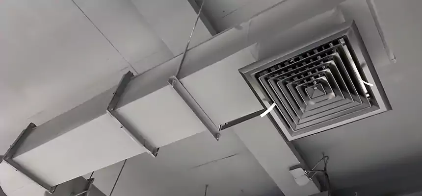 Our Pest Removal From Ducts Services in Oxon Hill, MD