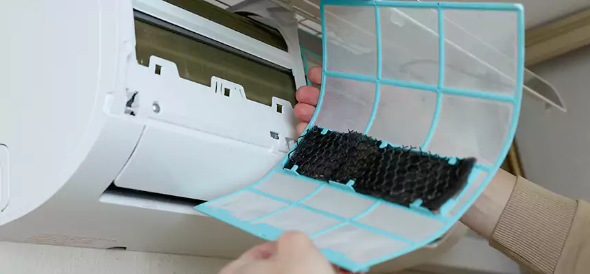 Gentle Ductwork Odor-Control Pet Dander Duct Cleaning in Oxon Hill, MD