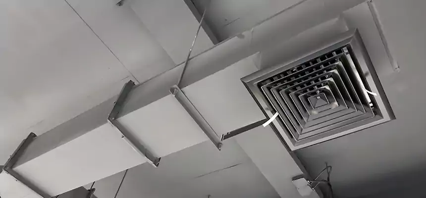 Our Rodent Droppings In Vents Services in Oxon Hill, MD