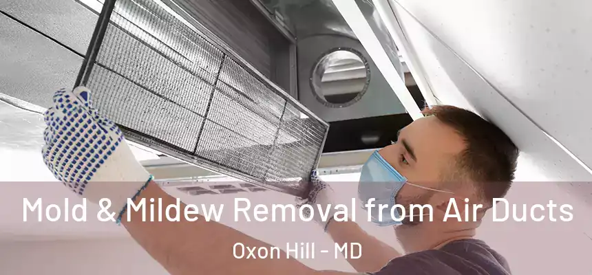  Mold & Mildew Removal from Air Ducts Oxon Hill - MD