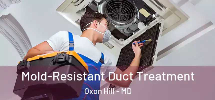  Mold-Resistant Duct Treatment Oxon Hill - MD