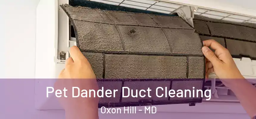  Pet Dander Duct Cleaning Oxon Hill - MD