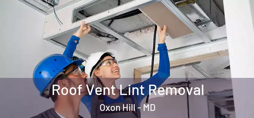  Roof Vent Lint Removal Oxon Hill - MD