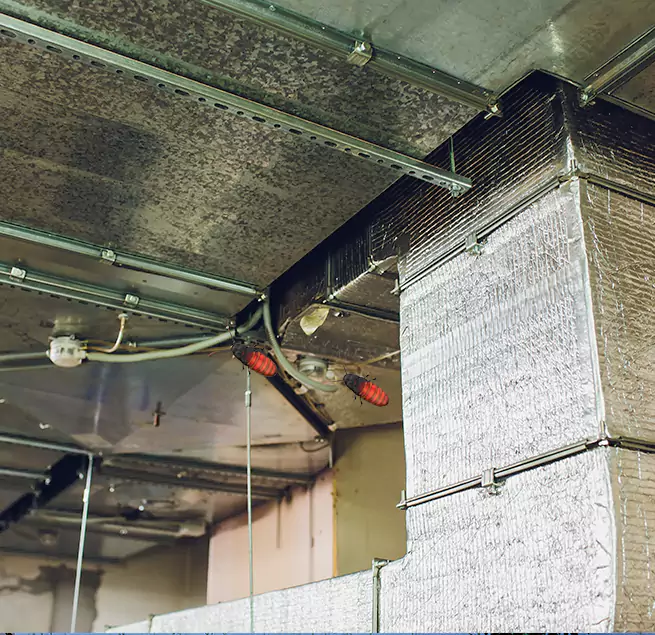 Why Homeowners & Businesses Trust Us in Oxon Hill, MD?