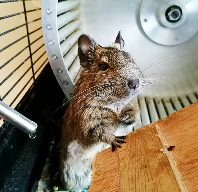 Why Homeowners & Businesses Trust Us Oxon Hill, MD?